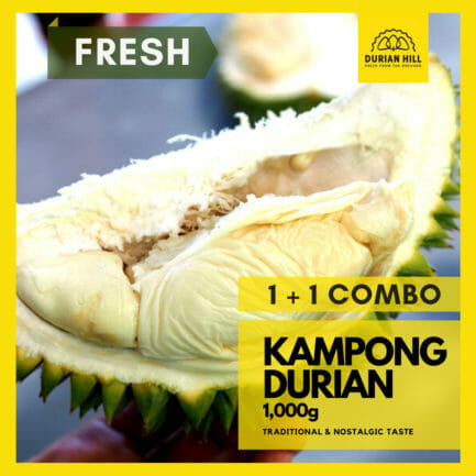 Fresh 1+1 MSK (300g) + Kampong Durian (1kg) COMBO 【Packed】